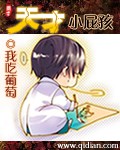 亿万总裁送上门云薇陆战霆