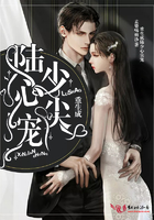 重生成陆少心尖宠