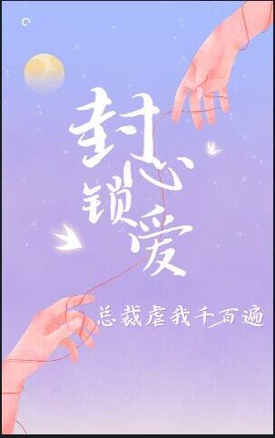 锁爱，霸道总裁疯批爱