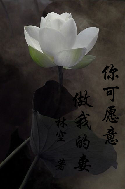 老公不嫌多-小野猫你别逃