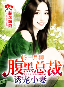 腹黑总裁诱宠小妻/无良总裁俏秘书