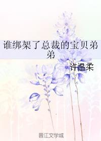 谁绑架了总裁的宝贝弟弟
