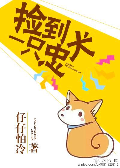 捡到一只忠犬（gl）