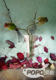 �Ұ��㣬�������