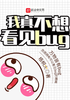 ���治�뿴��bug