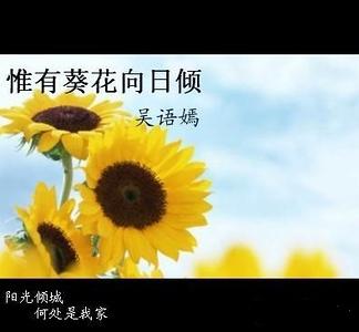 惟有葵花向日倾/给我阳光