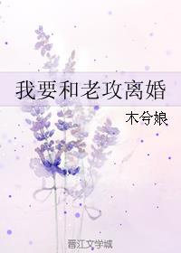 我要和老攻离婚