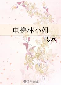 电梯林小姐