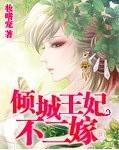 倾城王妃不二嫁