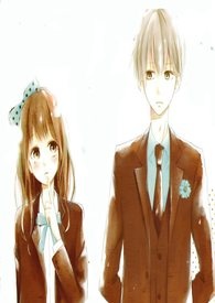 ӯӯС�Ի�����������