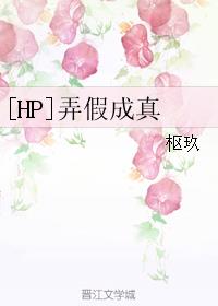 ��HPͬ�ˣ�[HP]Ū�ٳ���