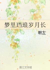 梦里珰琅岁月长