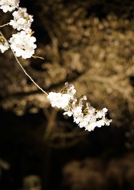 һ��һ��Ҳ����