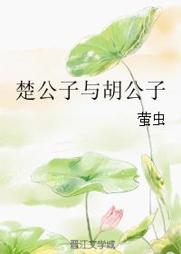 楚公子与胡公子