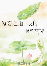 为妾之道（gl）