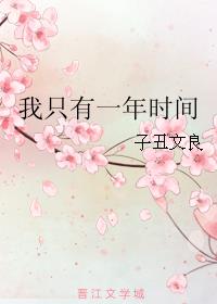 我只有一年时间