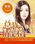 总裁,情深不浅/亲亲总裁轻一点 完结+番外