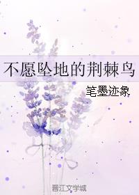 不愿坠地的荆棘鸟