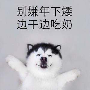 �����á�����֮��