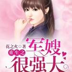 重生之军嫂很强大