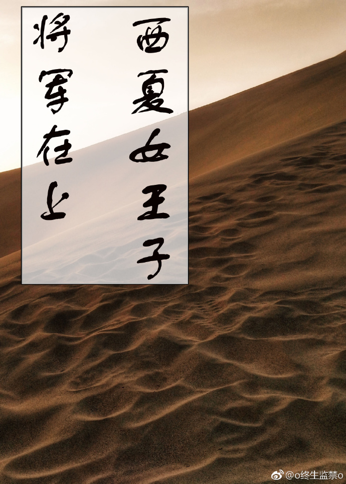 （将军在上同人）将军在上 西夏女王子