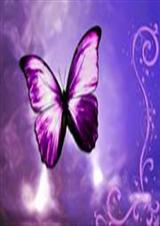 穿越仙剑之林月如