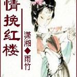 （红楼同人）情挽红楼