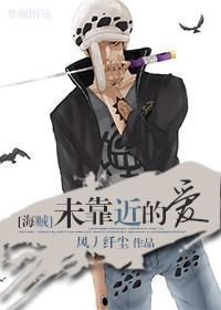 （海贼王同人）[海贼王]未靠近的爱