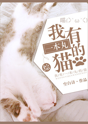 （综同人）我有一本丸的猫[综]
