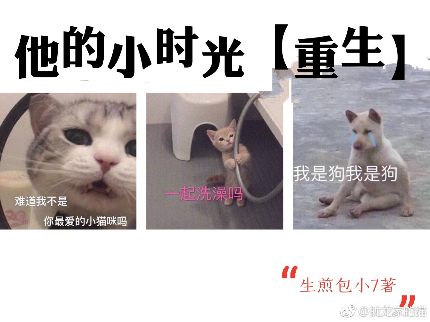 他的小时光重生