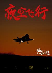 夜空飞行