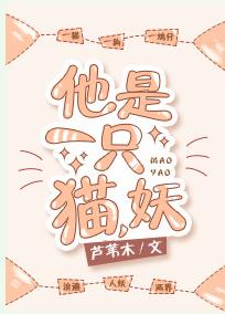 ����һֻè����