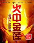 厉时琛苏媛总裁大人超给力
