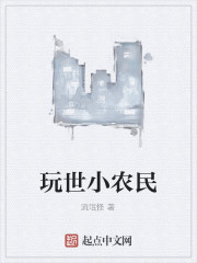 玩世小农民