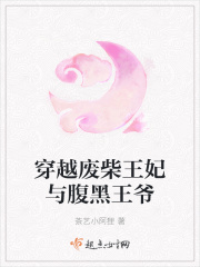 穿越废柴王妃遇到腹黑王爷