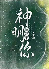 ����ƫ������