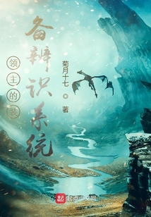 领主的装备辨识系统菊月十七