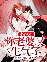 boss你老婆又生气了